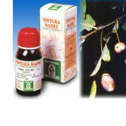 Specchiasol Fucus 14 Tintura Madre 50 ml Specchiasol Fucus 14 Tintura Madre 50 ml