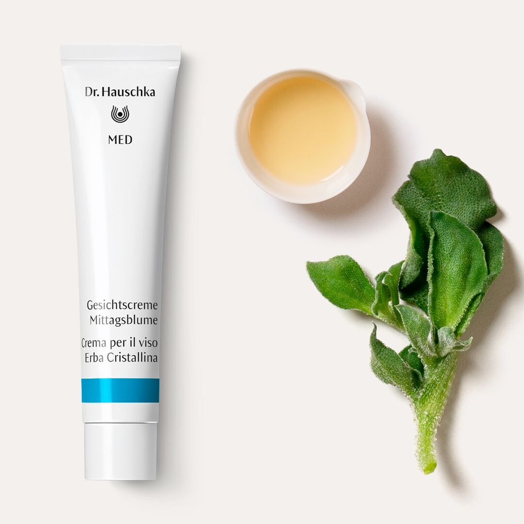 Dr. Hauschka - Crema Viso Erba Cristallina 40 ml