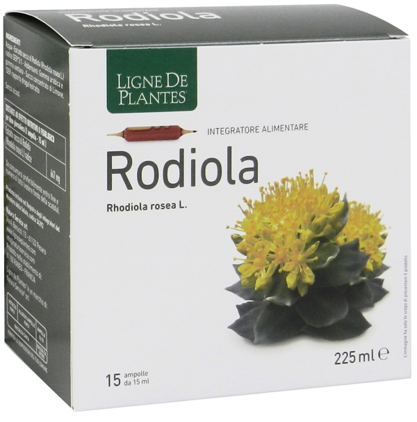 LIGNE RODIOLA 15AMP 15ML