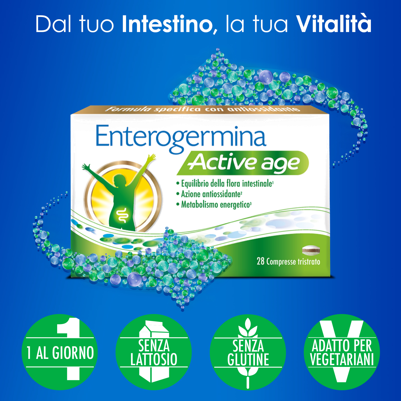 Enterogermina Active Age 28 compresse, Integratore con Probiotici (Fermenti Lattici), Ginkgo Biloba e Vitamina B12, Equilibrio Flora Intestinale, Azione Antiossidante, Riduzione Stanchezza Enterogermina Active Age 28 compresse, Integratore con Probiotici (Fermenti Lattici), Ginkgo Biloba e Vitamina B12, Equilibrio Flora Intestinale, Azione Antiossidante, Riduzione Stanchezza