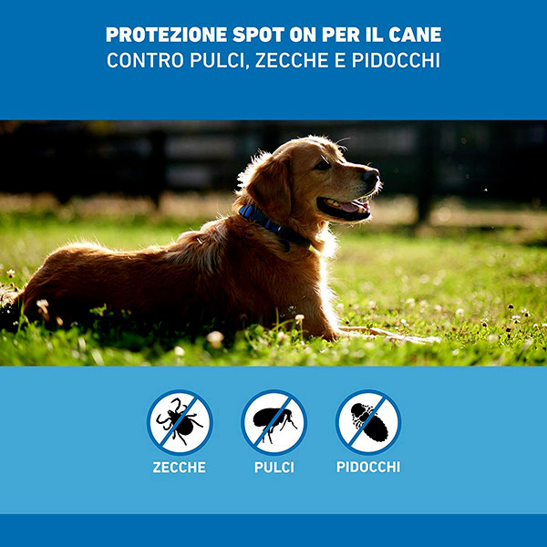 FRONTLINE*3PIP 20-40KG CANI FRONTLINE*3PIP 20-40KG CANI