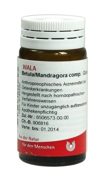 BETULA MANDRAGORA 20G GL WALA BETULA MANDRAGORA 20G GL WALA