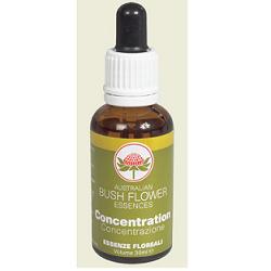 Bush Flower Essences Fiori Australiani Concentration Gocce 30 ml