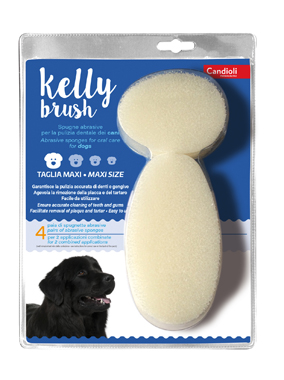 KELLY BRUSH Spugnetta Maxi 8pz