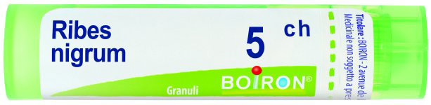 Boiron Ribes Nigrum 5CH Granuli Tubo