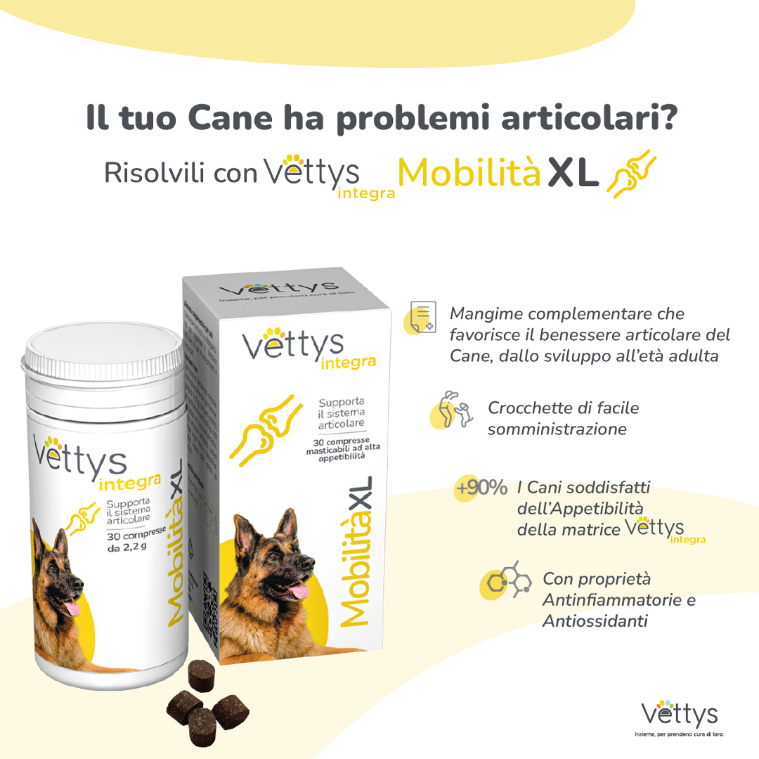 VETTYS Integra Mobilita'XL 