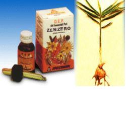 Specchiasol O.E.P. Olio Essenziale Puro Zenzero 10 ml