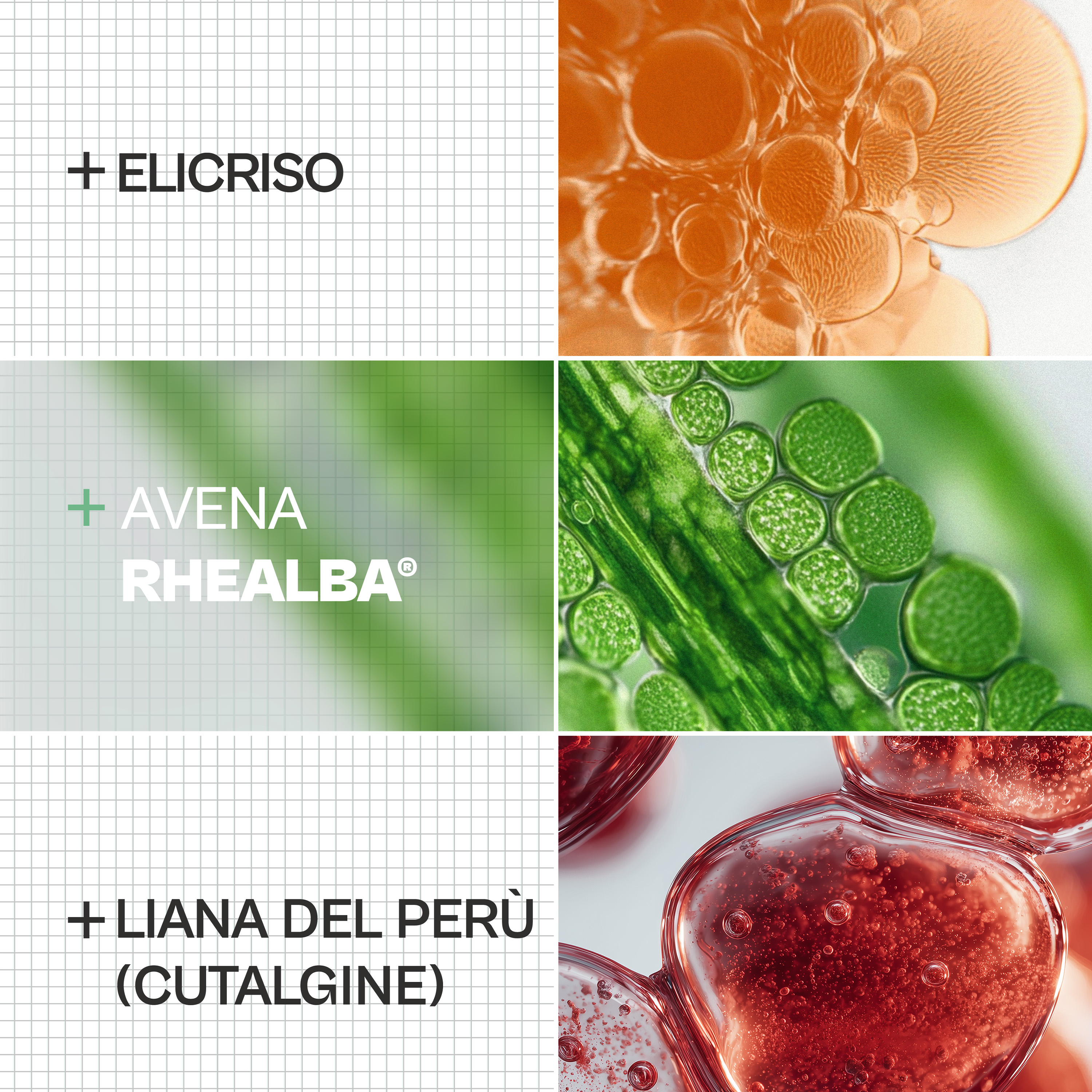 A-Derma Exomega - Siero Ultra Lenitivo Per Pelle Secca A Tendenza Atopica 30 ml