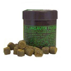 Grani di Lungavita Fiuggi benessere del transito intestinale 1kg
