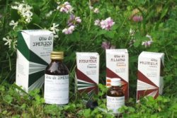 Raemil Primula Olio 25ml Raemil Primula Olio 25ml