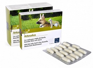 ARTOSALUS ORME NAT 60CPR