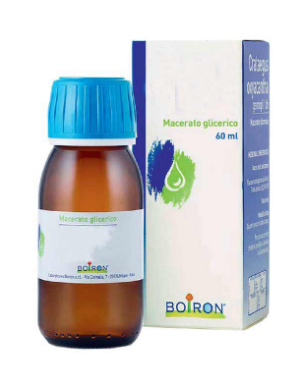 Boiron Tilia Tomentosa 1DH Macerato Glicerico 60 ml Boiron Tilia Tomentosa 1DH Macerato Glicerico 60 ml