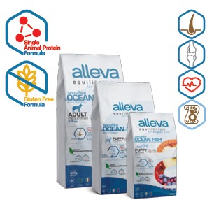 ALLEVA EQUILIBRIUM DOG SENSITIVE OCEAN FISH ADULT MEDIUM/MAXI KG 12 - P6008