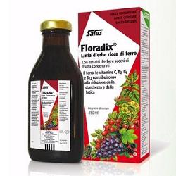 Floradix Integratore Ferro 500 ml