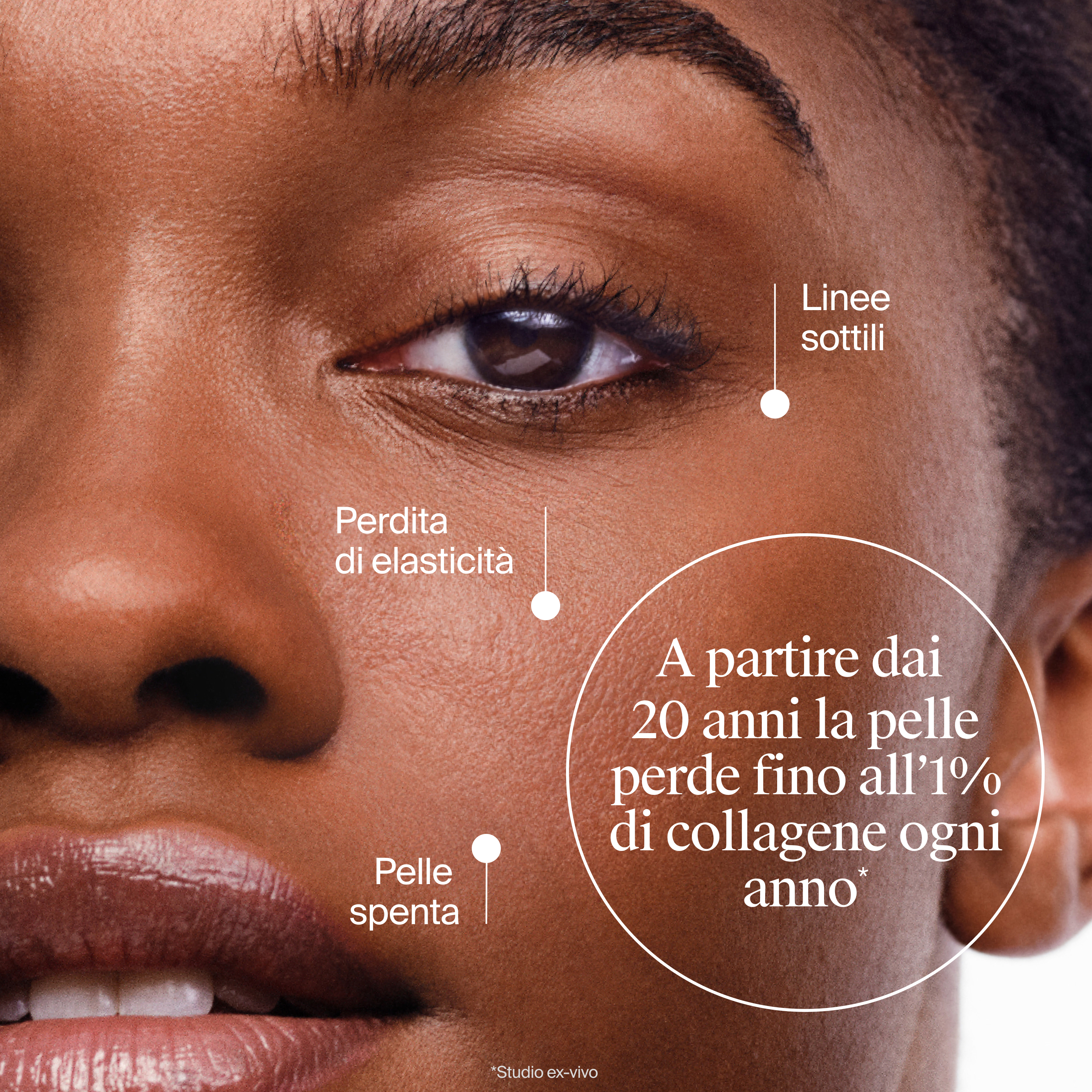 Crema Idratante Viso Collagen Bank con Collagene Marino e Bakuchiol anti-età per tutti i tipi di pelle, 50 Ml