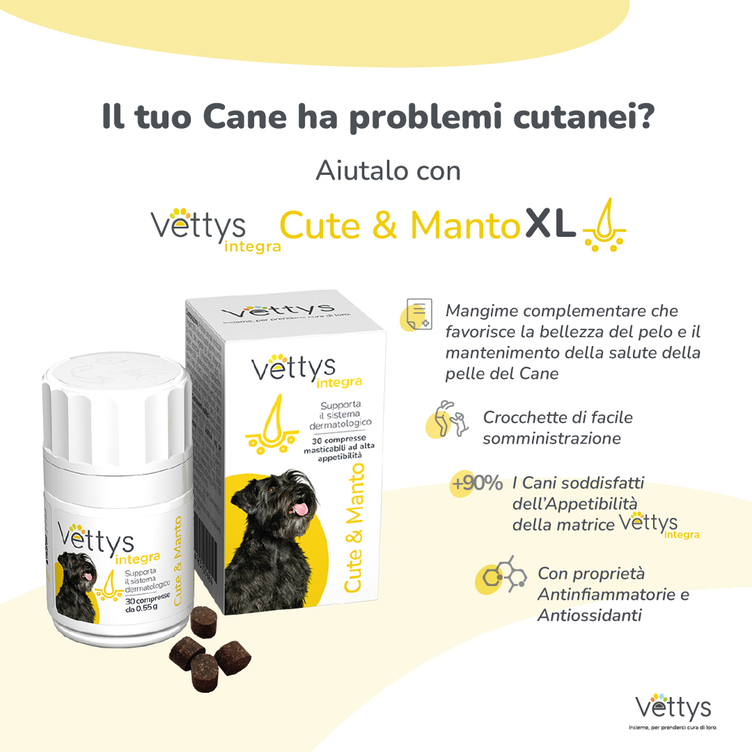 VETTYS Integra Cute&Manto XL
