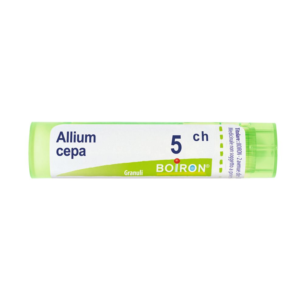 ALLIUM CEPA Tubo  5CH