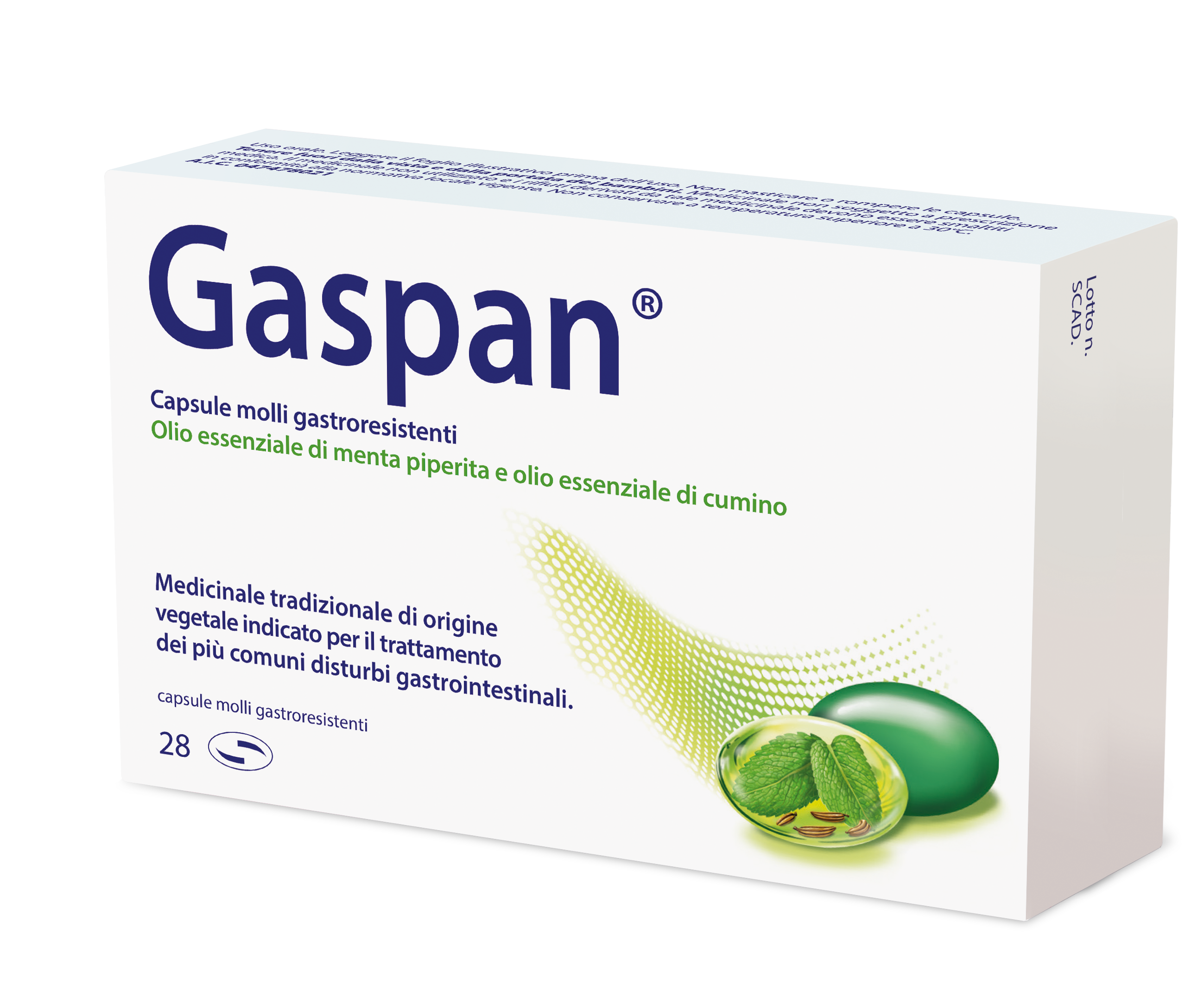 GASPAN 28CPS MOLLI GASTRORES