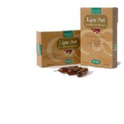 LIGNE ART 20 AMPOLLE BEVIBILI 15 ML LIGNE ART 20 AMPOLLE BEVIBILI 15 ML