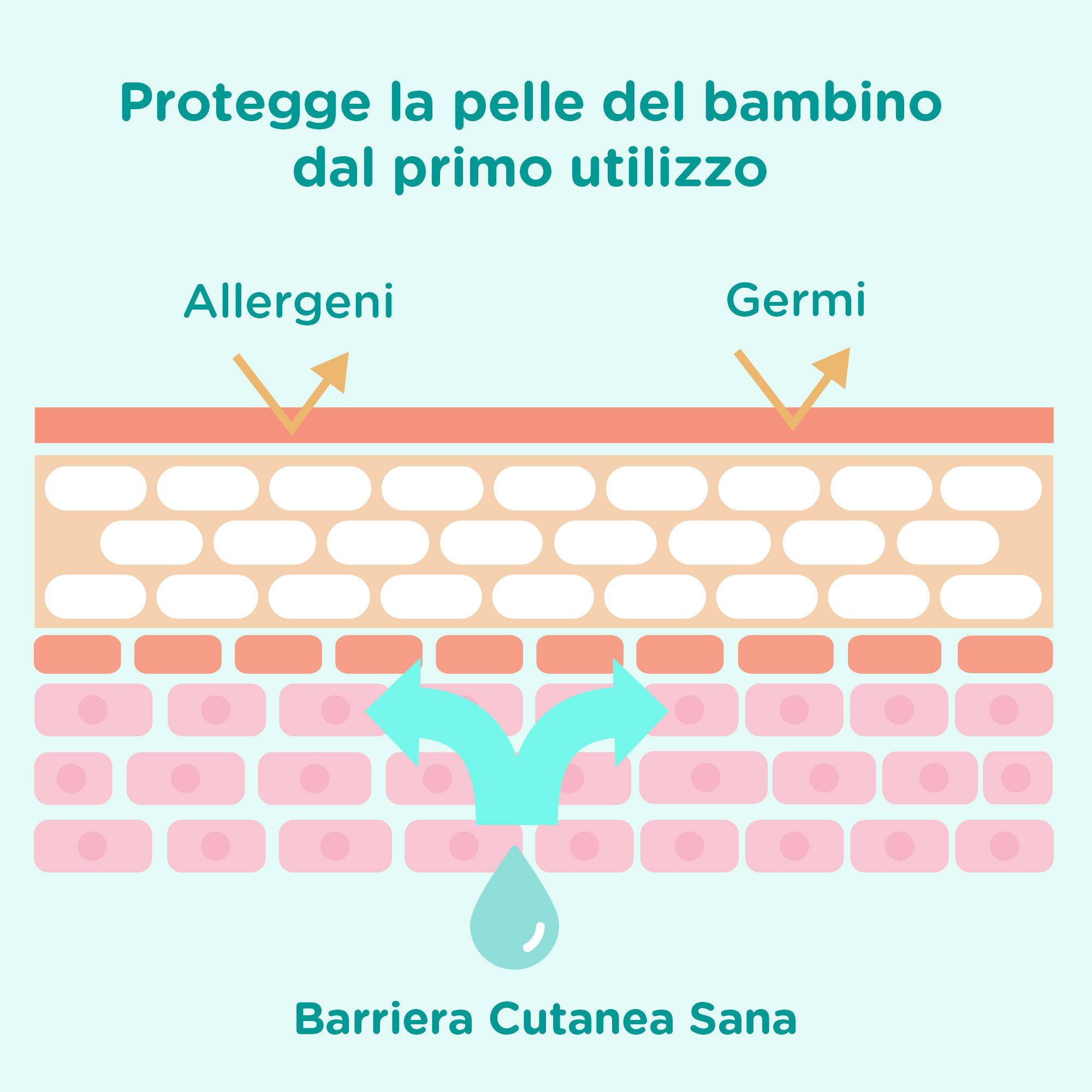 JOHNSON’S Baby, Bagnodoccia 2 in 1, Cottontouch, per Bambini e Neonati, con Vero Cotone, Senza Coloranti Solfati Alcol e Sapone, Non Più Lacrime, 300ml JOHNSON’S Baby, Bagnodoccia 2 in 1, Cottontouch, per Bambini e Neonati, con Vero Cotone, Senza Coloranti Solfati Alcol e Sapone, Non Più Lacrime, 300ml