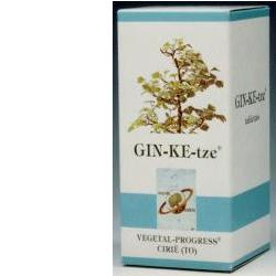 GINKETZE BIO 80 TAVOLETTE 600 MG GINKETZE BIO 80 TAVOLETTE 600 MG