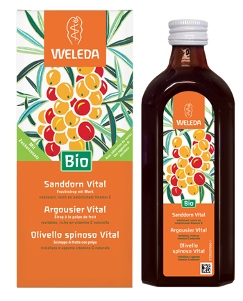 OLIVELLO SPINOSO VITAL SCIR