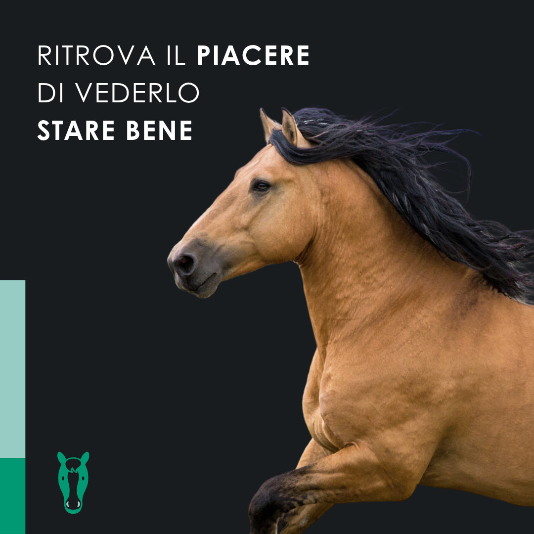 Eusphera CBD Oil Horse - Olio Nutriente per Cavalli 50 ml