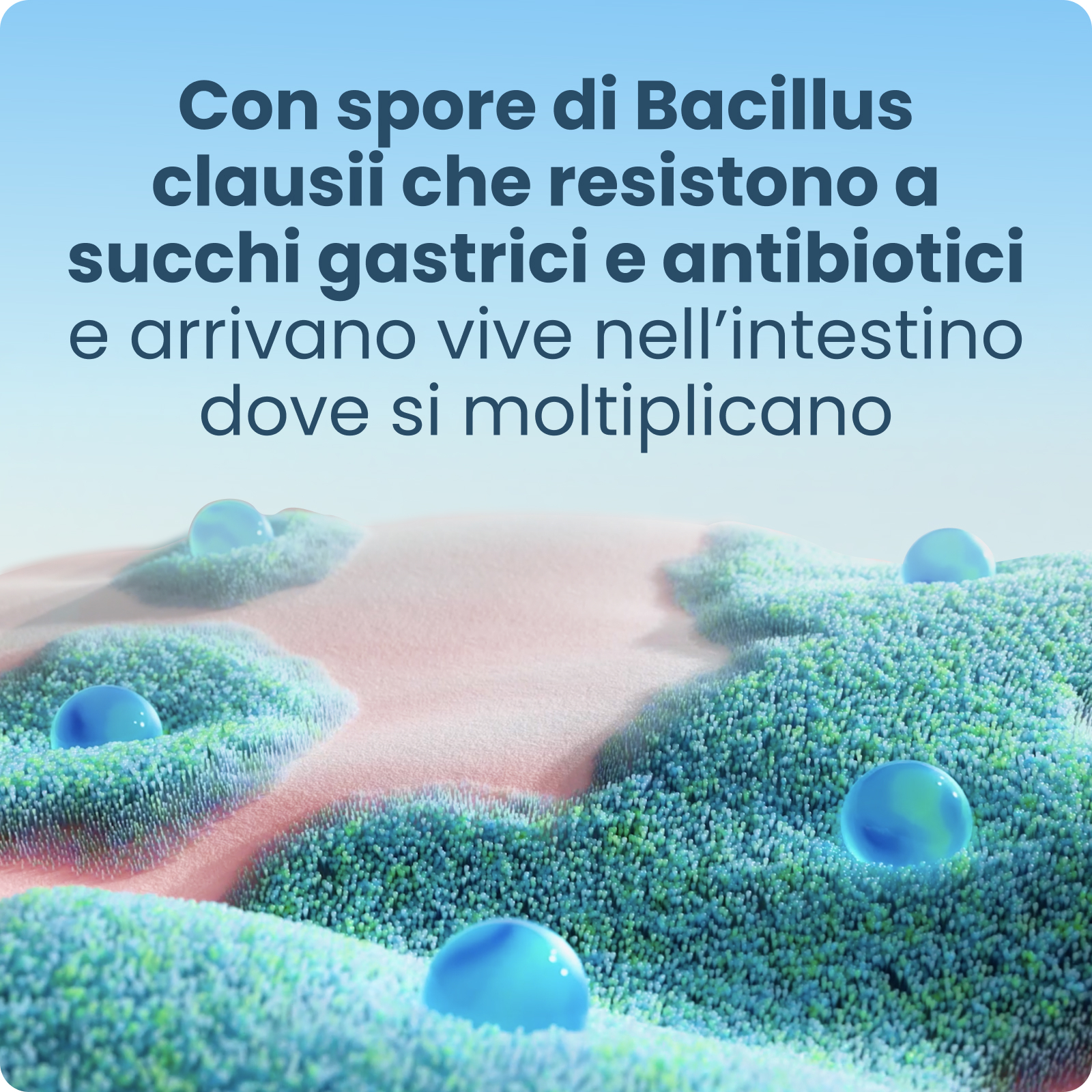 Enterogermina Sospensione Orale - 2 Miliardi - 20 Flaconcini - 5Ml Enterogermina Sospensione Orale - 2 Miliardi - 20 Flaconcini - 5Ml