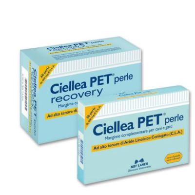 Nbf Lanes Ciellea Pet Integratore Metabolico 30 Perle Nbf Lanes Ciellea Pet Integratore Metabolico 30 Perle