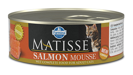 MATISSE SALMONE 85G
