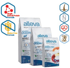 ALLEVA EQUILIBRIUM DOG ADULT SENSITIVE OCEAN FISH MINI/MEDIUM KG 5 - P60027