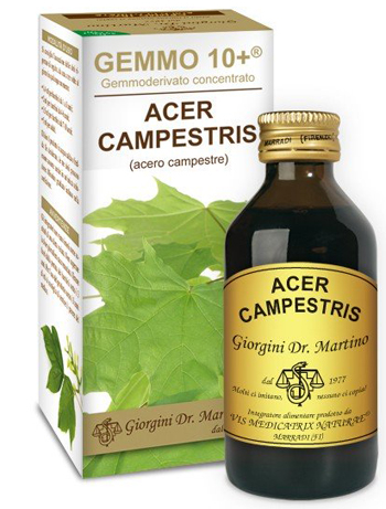 ACERO CAMP 100ML ANALCO GEM10+ ACERO CAMP 100ML ANALCO GEM10+