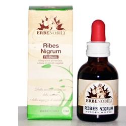 Erbenobili Ribes Nigrum Fitoblasto Gemmoderivato 50 ml Erbenobili Ribes Nigrum Fitoblasto Gemmoderivato 50 ml