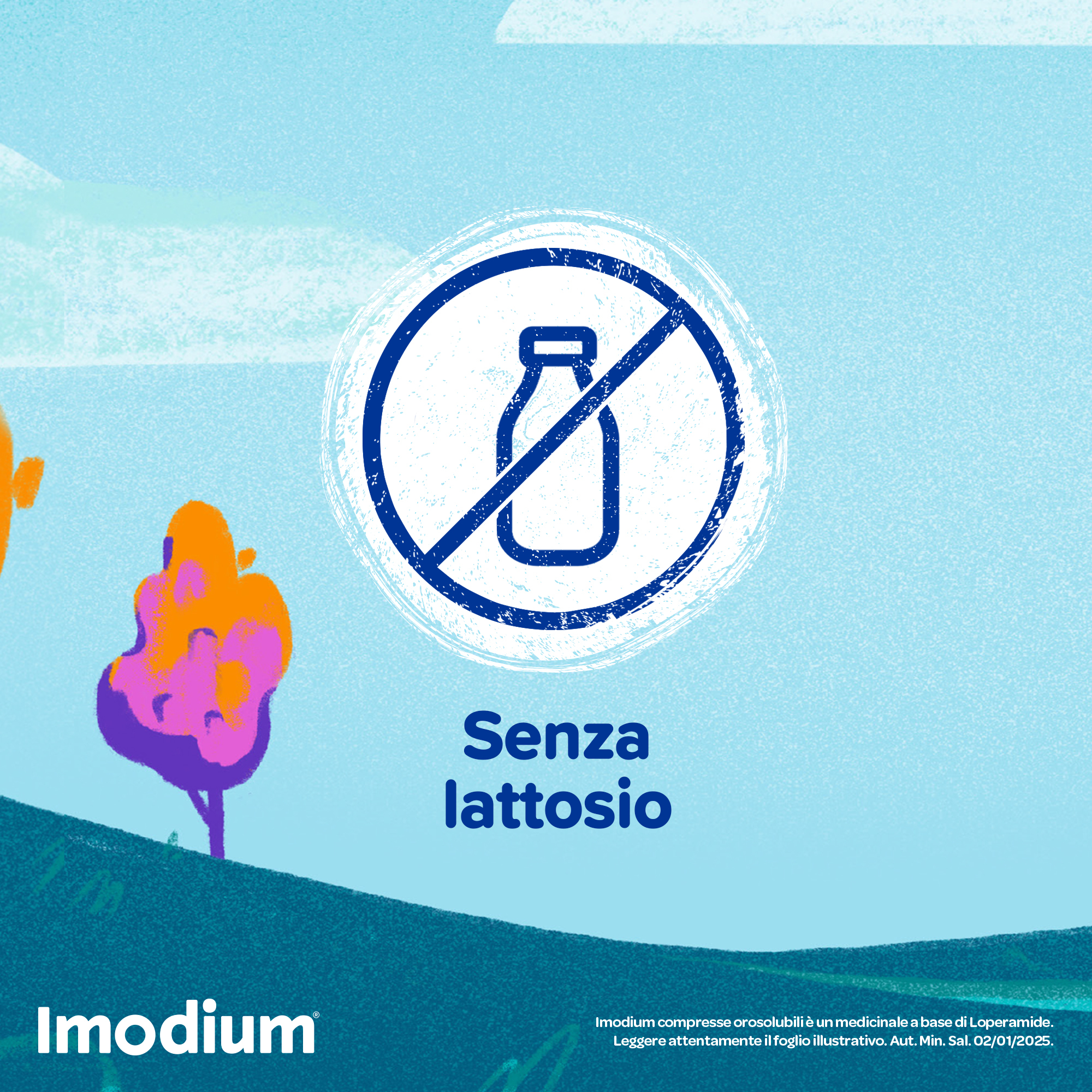 Imodium Diarrea Acuta 12 Compresse Orosolubili Imodium Diarrea Acuta 12 Compresse Orosolubili
