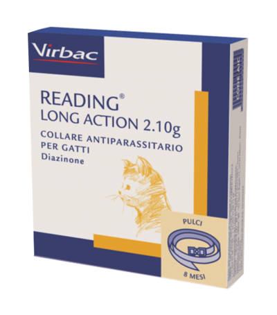 READING LONG ACTION COLLARE GA