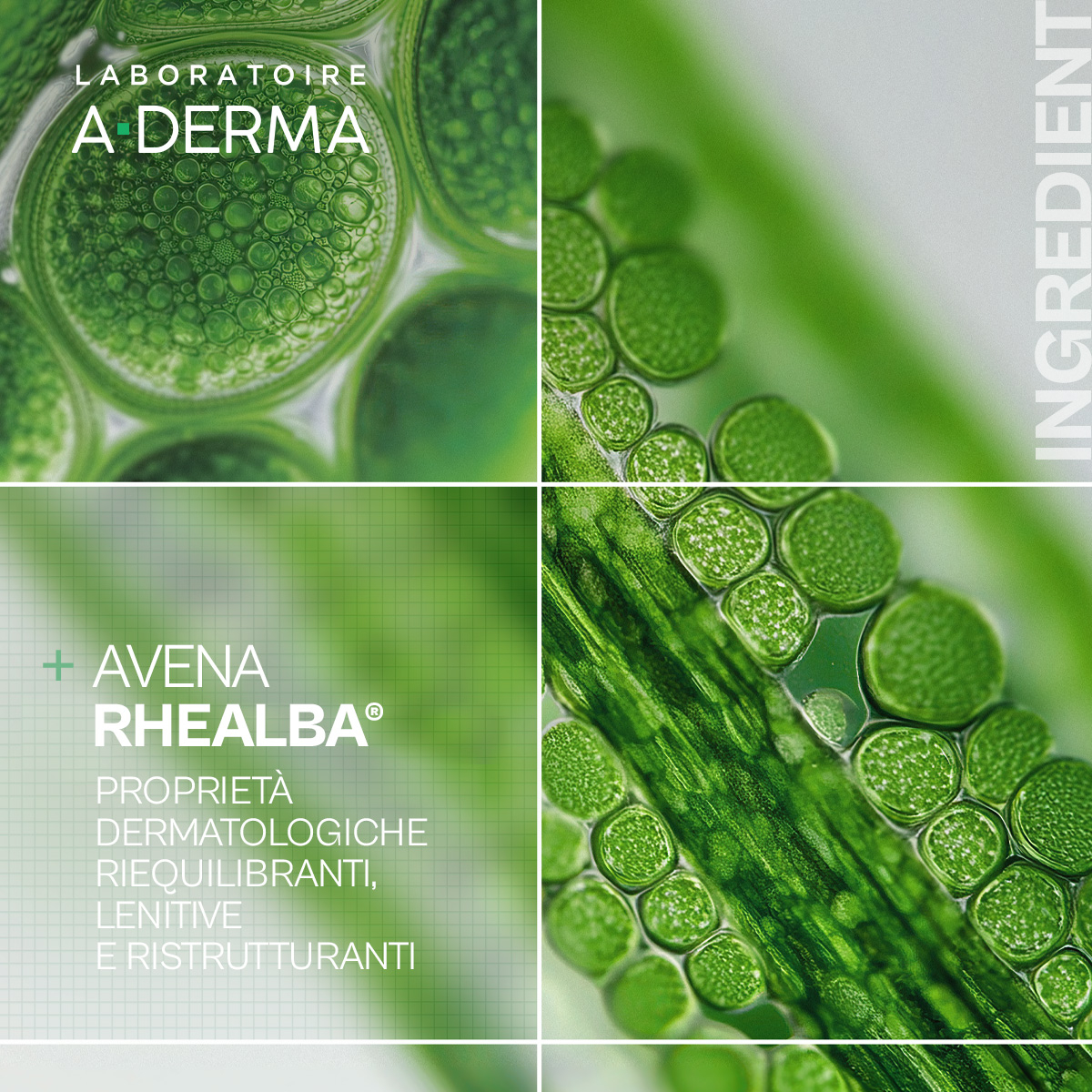 A-DERMA EXOMEGA CONTROL Olio Lavante Emolliente 500 ML Ricarica