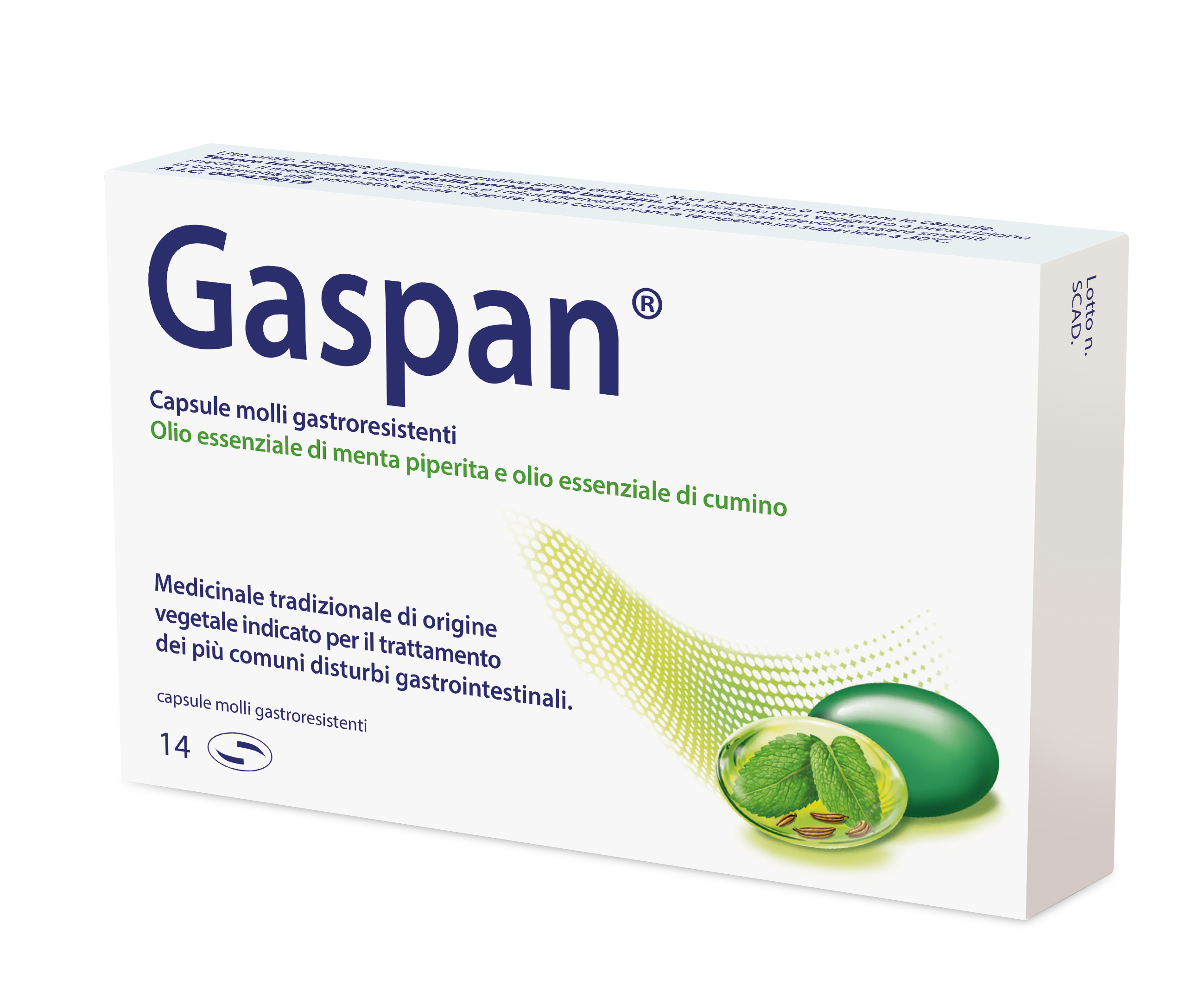 GASPAN 14CPS MOLLI GASTRORES
