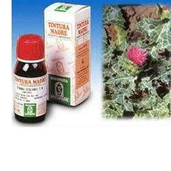 Specchiasol Cardo Mariano 6 Tintura Madre 50 ml Specchiasol Cardo Mariano 6 Tintura Madre 50 ml