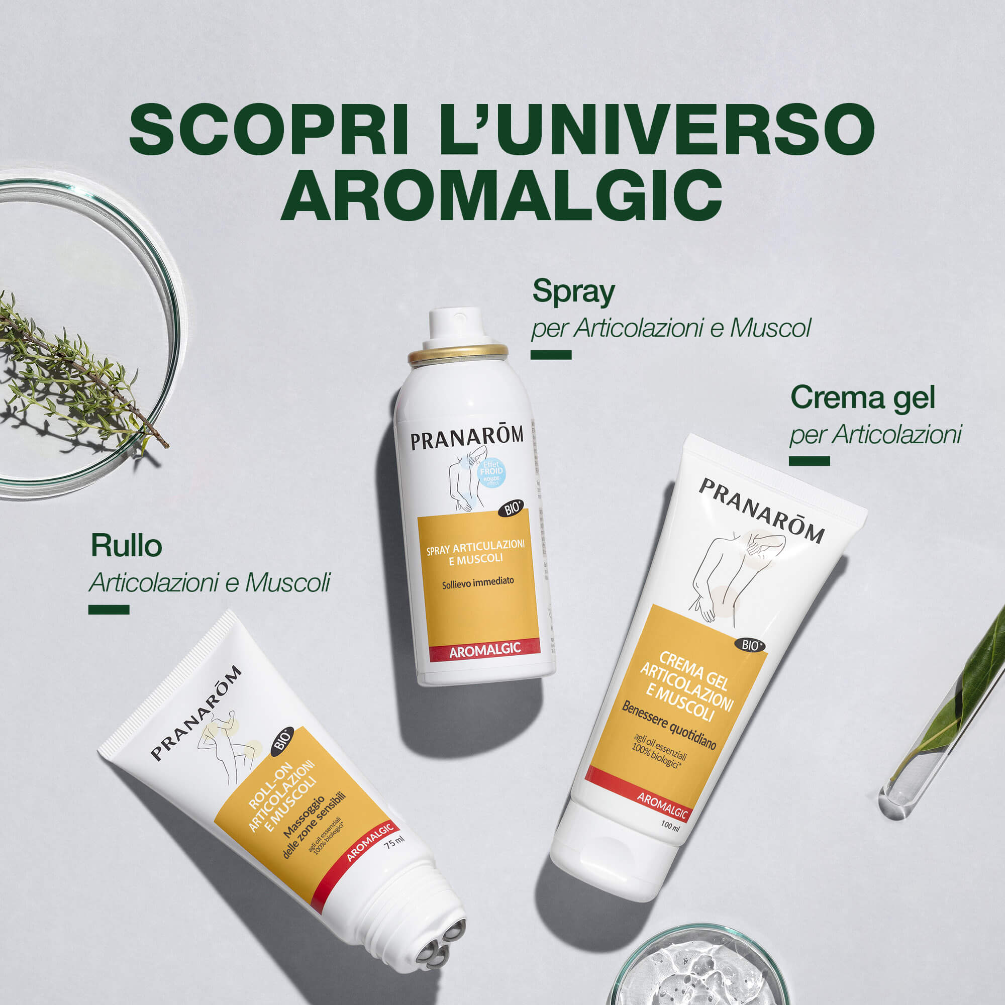 PRANAROM ALGIC Crema Art.100ml