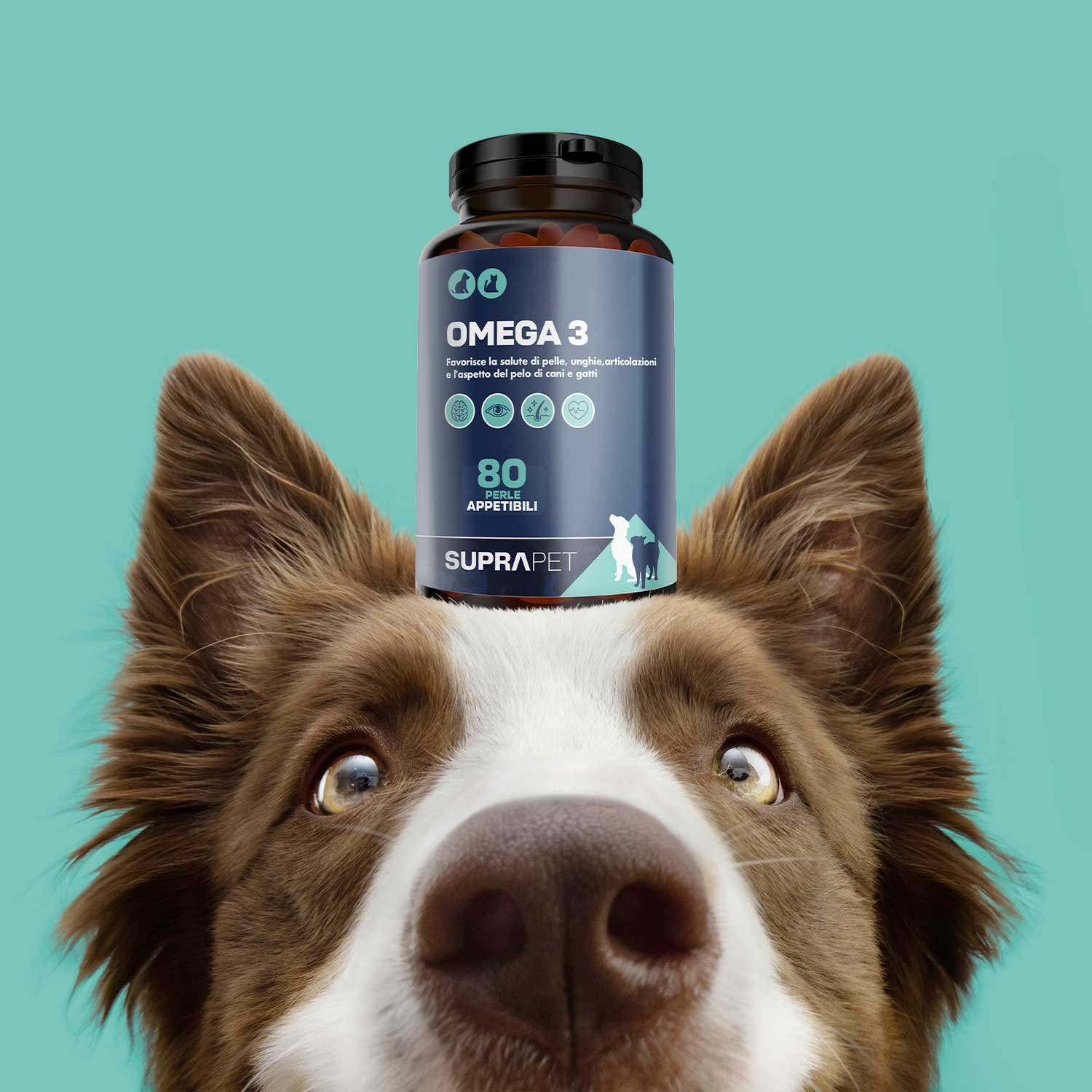 Suprapet omega 3 80prl