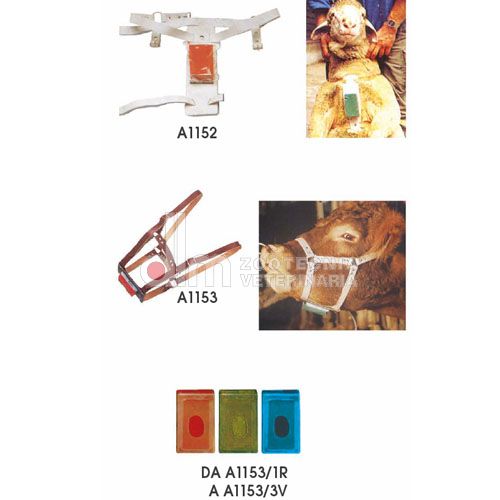 BLOCCO COLORANTE MONTA OVINI COLORE ROSSO CAD. (REF. A1153/1R) - RAIDEX