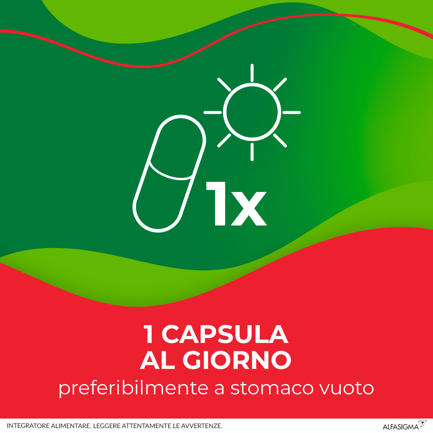 Enterolactis Plus Capsule, Integratore Alimentare con Fermenti lattici, probiotici L,Casei DG, 24 Miliardi Cellule Vive, Senza Glutine e Lattosio, 30 Capsule Enterolactis Plus Capsule, Integratore Alimentare con Fermenti lattici, probiotici L,Casei DG, 24 Miliardi Cellule Vive, Senza Glutine e Lattosio, 30 Capsule