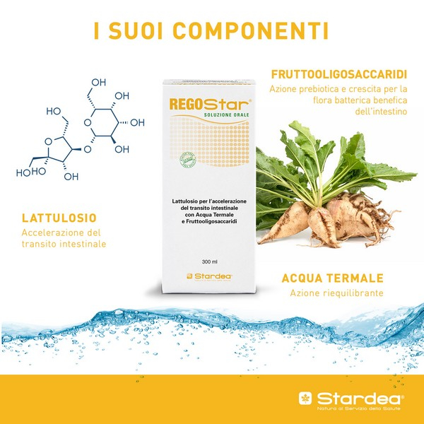 Regostar Integratore Intestinale 300 ml Regostar Integratore Intestinale 300 ml