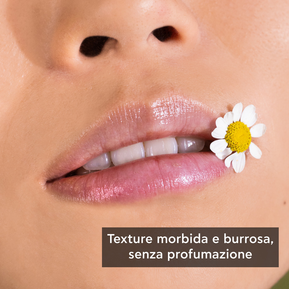 APIVITA LIPCARE CHAMO/19