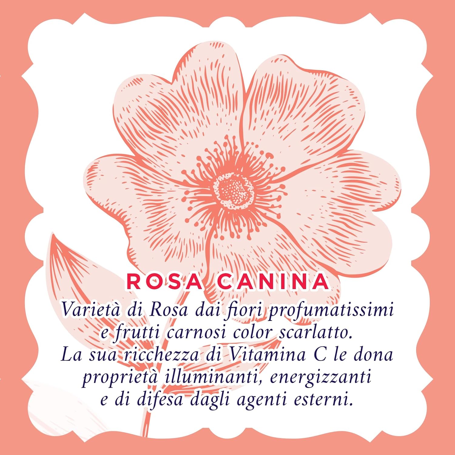 Acqua Alle Rose - Acqua Micellare Struccante Bifasica Illuminante Viso 200 ml