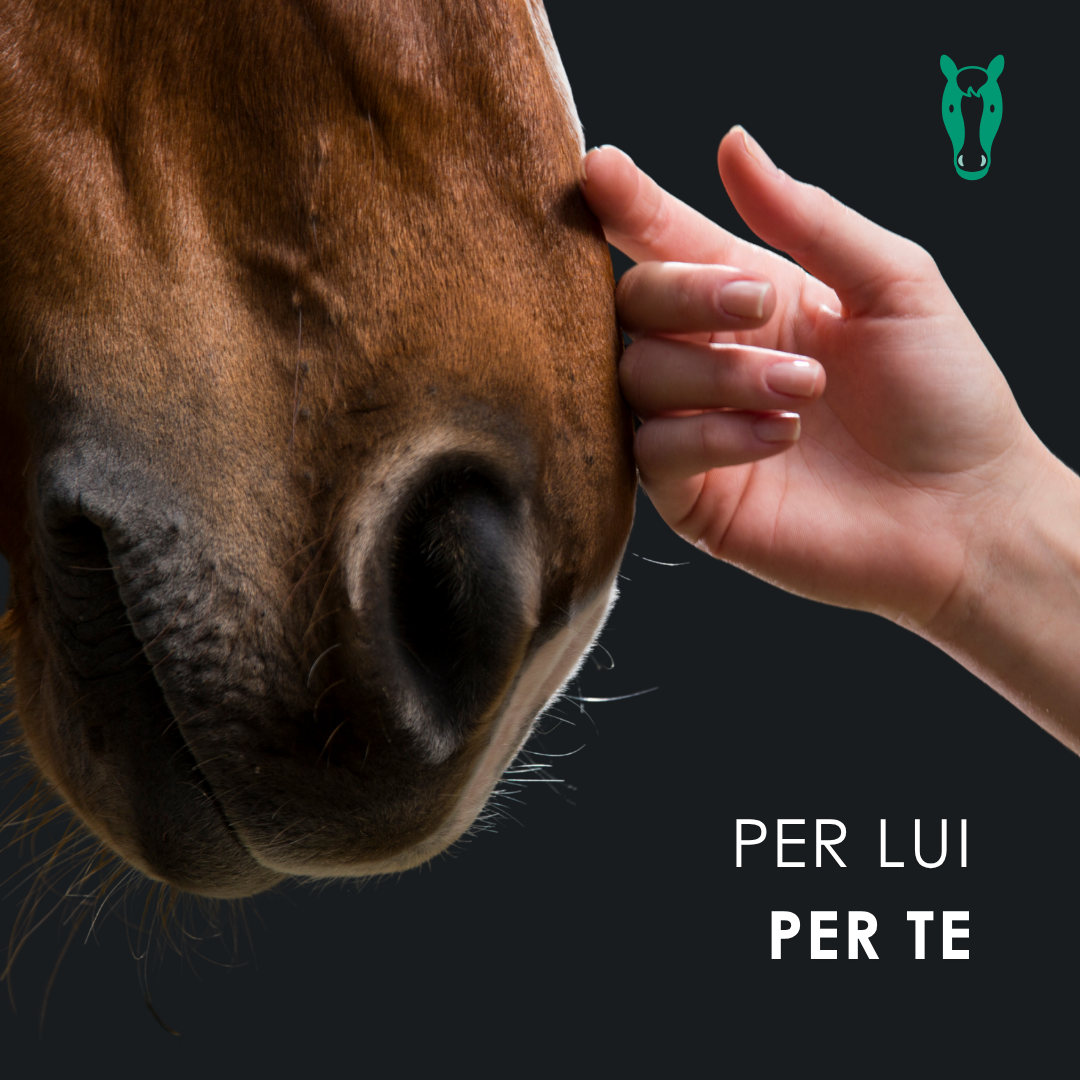 Eusphera CBD Oil Horse - Olio Nutriente per Cavalli 50 ml
