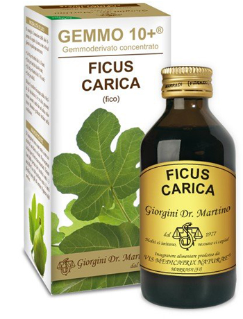 Dr. Giorgini Gemmo 10+ Fico Analcoolico 100 ml Dr. Giorgini Gemmo 10+ Fico Analcoolico 100 ml