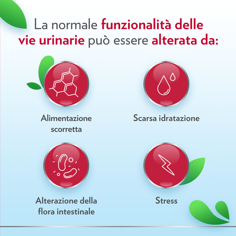 Gyno-CanesCystil Integratore Alto Dosaggio D-Mannosio per il Benessere Delle Vie Urinarie e Mantenimento della Flora Intestinale, gusto tè verde, gelsomino e agrumi, 14 bst