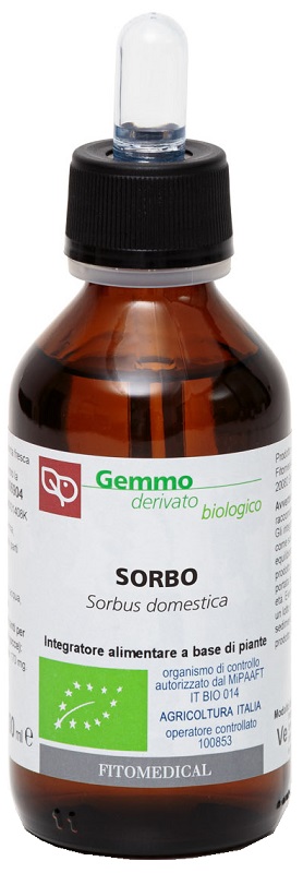 SORBO MG 100ML BIO