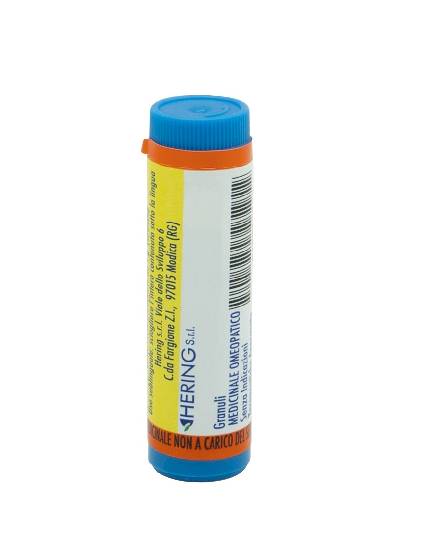 ACTEA RACEMOSA*30CH GR 1G